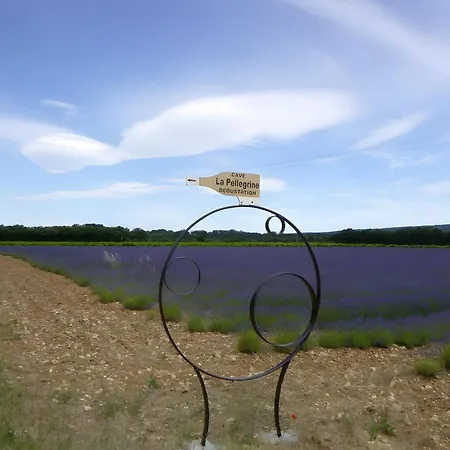 Domaine Viticole, Chouettes * Montbrison-sur-Lez