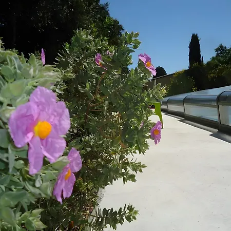 Landhuis Domaine Viticole, Chouettes